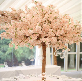 blossom tree hire in essex, london and kent